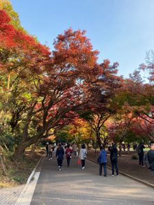 新宿御苑　園内