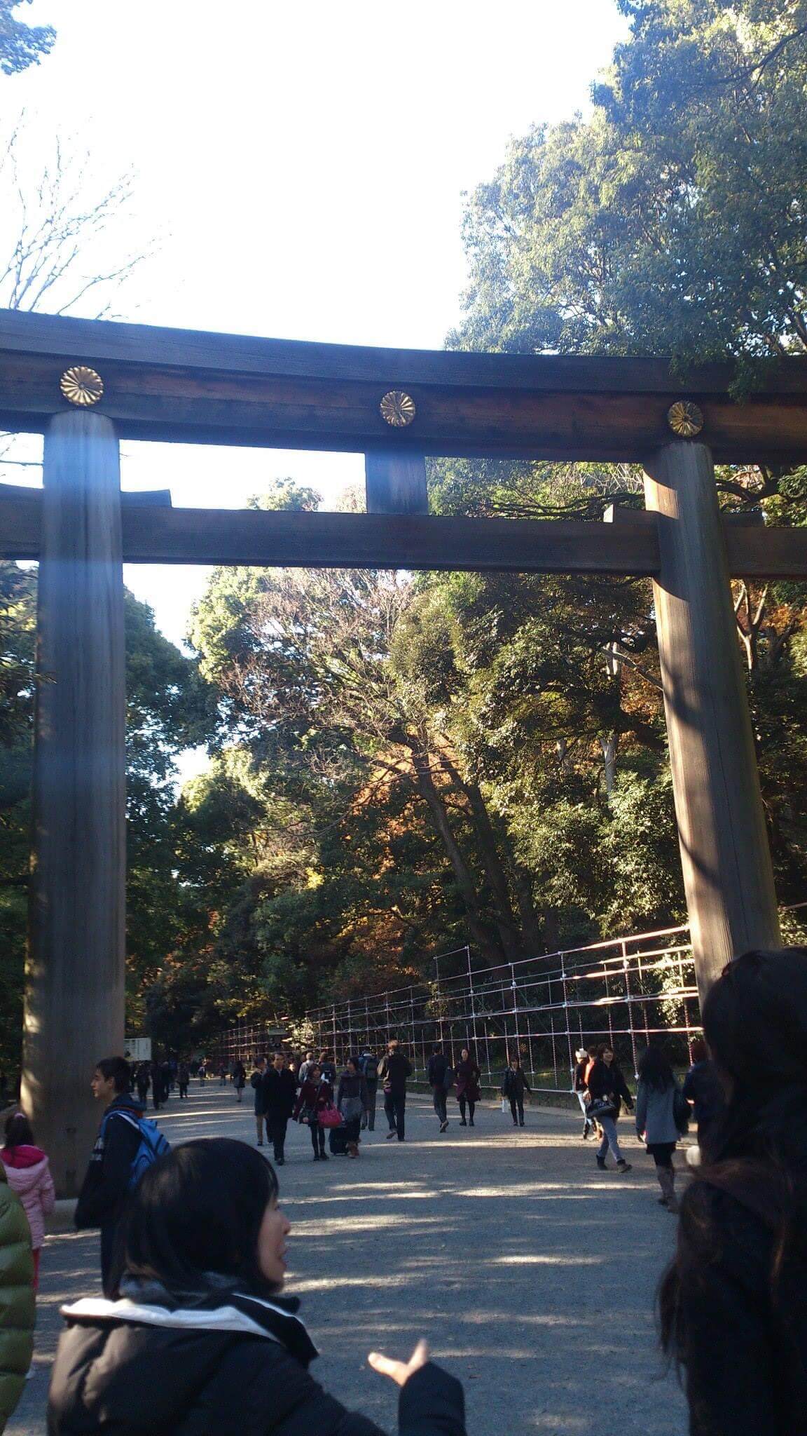 明治神宮　鳥居